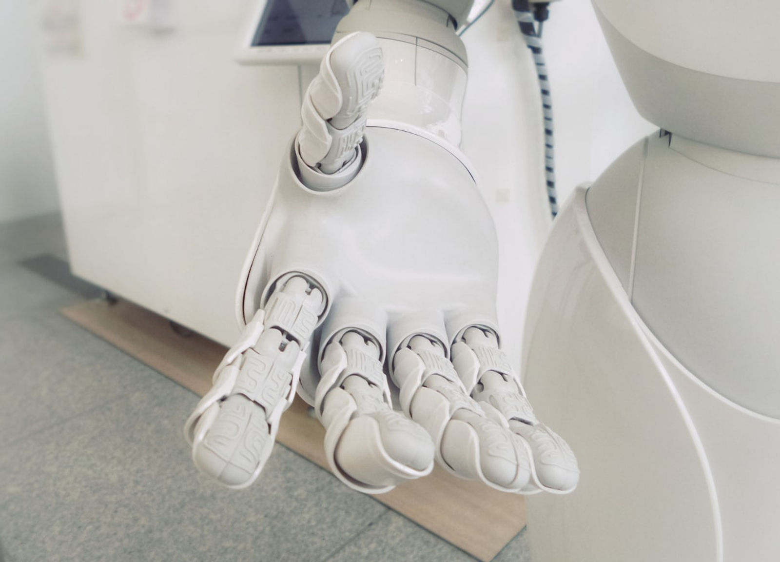 AI chatbot development company Sydney