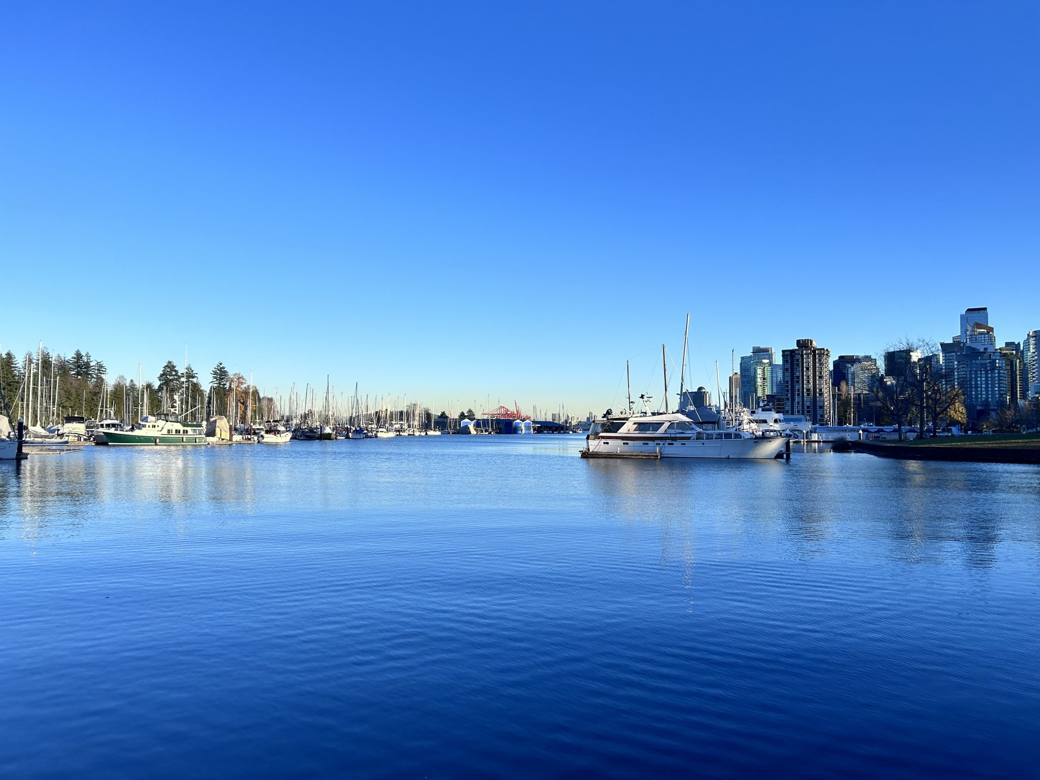 Vancouver, Canada — software, web and digital services by QwiklyLaunch