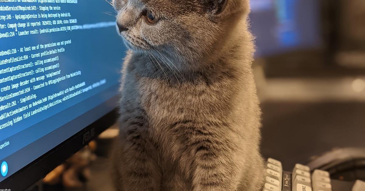 Software Development